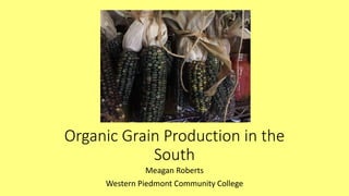 Organic Grain Production in the
South
Meagan Roberts
Western Piedmont Community College
 