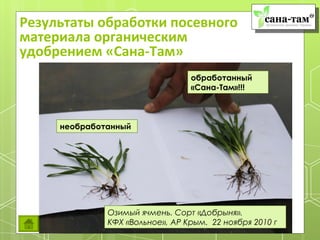 Результаты обработки посевного
материала органическим
удобрением «Сана-Там»
                                 обработанный
                                 «Сана-Там»!!!



     необработанный




              Озимый ячмень. Сорт «Добрыня».
              КФХ «Вольное», АР Крым. 22 ноября 2010 г
 