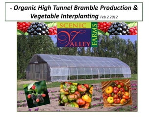 - Organic High Tunnel Bramble Production &
       Vegetable Interplanting Feb 2 2012
 