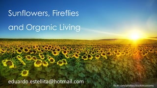 Sunflowers, Fireflies
and Organic Living
flickr.com/photos/stuckincustoms
eduardo.estellita@hotmail.com
 