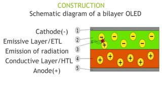 Comprehensive Overview of Organic Light Emitting Diodes (OLED ...