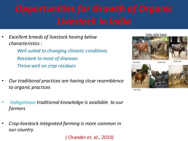 Organic Livestock Farming