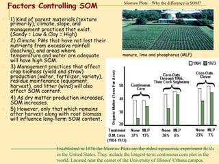 Organic matter in soil
