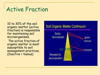 Organic matter in soil