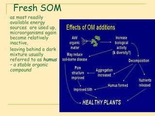 Organic matter in soil