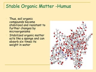 Organic matter in soil