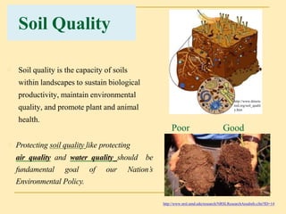 Organic matter in soil