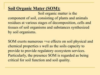 Organic matter in soil