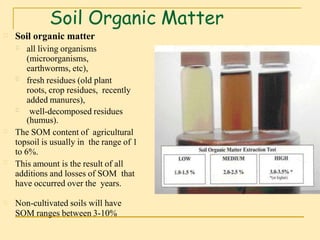 Organic matter in soil