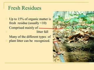 Organic matter in soil
