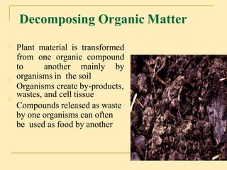 Organic matter in soil