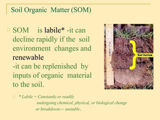 Organic matter in soil