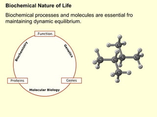 Biochemical Nature of Life Biochemical processes and molecules are essential fro maintaining dynamic equilibrium. 