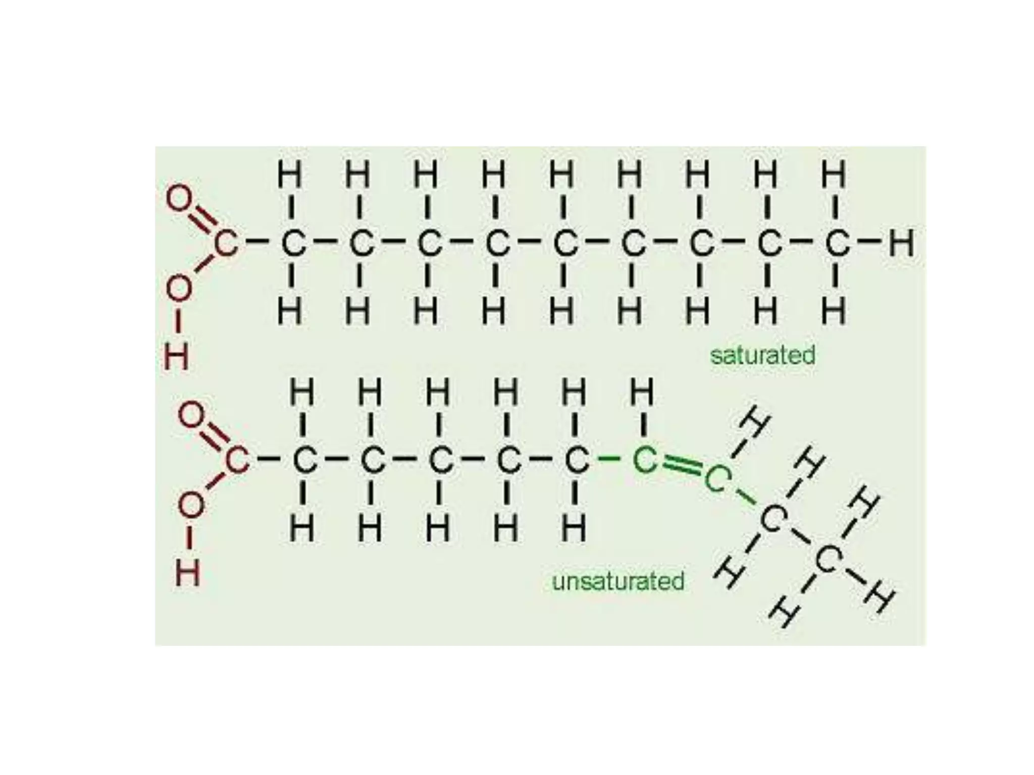 Organic molecules | PPT