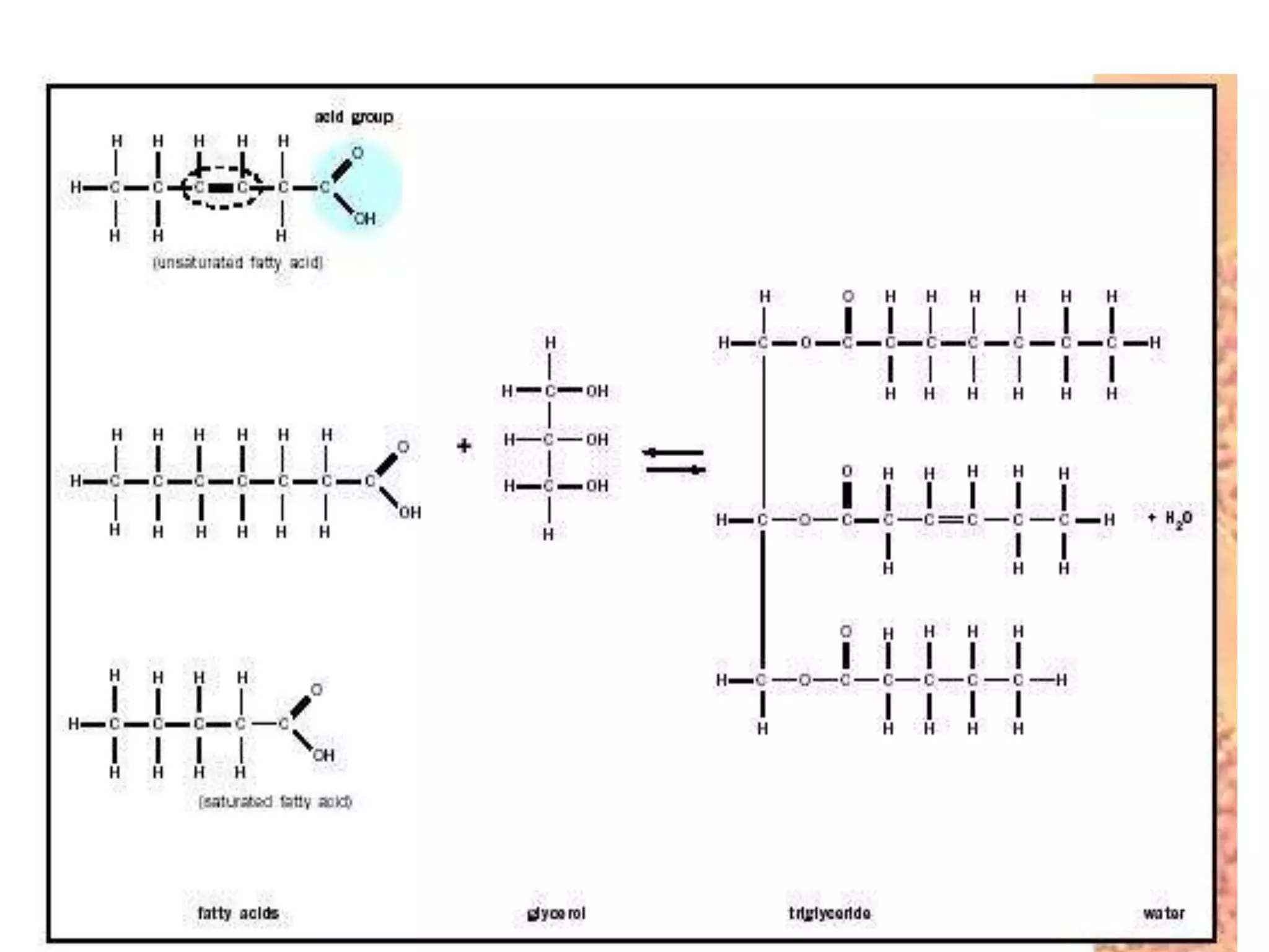 Organic molecules | PPT