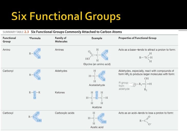 organic molecules organic molecules react to form a product