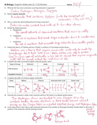 IB Organic Molecules Review Key (2.1-2.3)