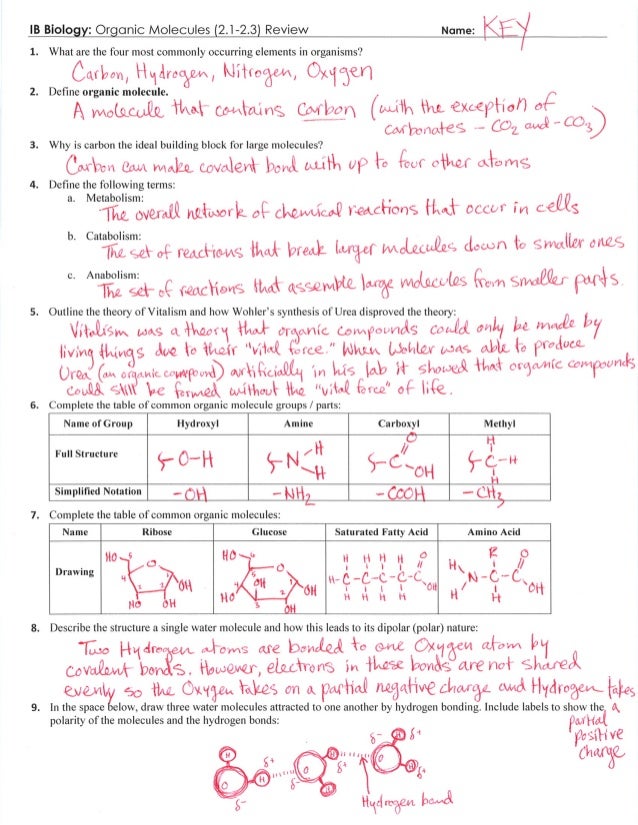 IB Organic Molecules Review Key 2.12.3