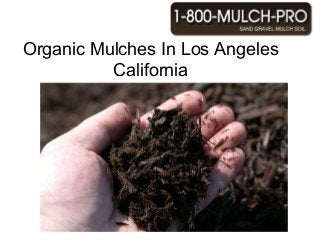 Why use Mulch In Los Angeles California? Los
Angeles California has the best Mulch. Using
mulch can benefit your garden and landscape.
Los Angeles California is known for its
beautiful mulched landscaped gardens.
There are many different types of mulch in Los
Angeles California. There is inorganic and
organic mulch for your gardens and
landscape.
Find the best mulch in Los Angeles California
by calling 1-800-MULCH PRO.
Organic Mulches In Los Angeles
California
 