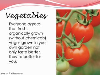 Vegetables
Everyone agrees
that fresh,
organically grown
(without chemicals)
veges grown in your
own garden not
only taste better,
they’re better for
you.
www.redfoxbb.com.au

 