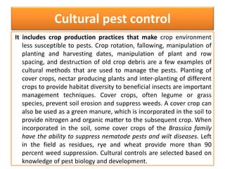 Cultural pest control 
It includes crop production practices that make crop environment 
less susceptible to pests. Crop rotation, fallowing, manipulation of 
planting and harvesting dates, manipulation of plant and row 
spacing, and destruction of old crop debris are a few examples of 
cultural methods that are used to manage the pests. Planting of 
cover crops, nectar producing plants and inter-planting of different 
crops to provide habitat diversity to beneficial insects are important 
management techniques. Cover crops, often legume or grass 
species, prevent soil erosion and suppress weeds. A cover crop can 
also be used as a green manure, which is incorporated in the soil to 
provide nitrogen and organic matter to the subsequent crop. When 
incorporated in the soil, some cover crops of the Brassica family 
have the ability to suppress nematode pests and wilt diseases. Left 
in the field as residues, rye and wheat provide more than 90 
percent weed suppression. Cultural controls are selected based on 
knowledge of pest biology and development. 
 