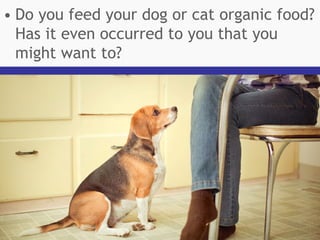 • Do you feed your dog or cat organic food?
Has it even occurred to you that you
might want to?

 