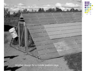 Another design for a mobile pasture cage.
 