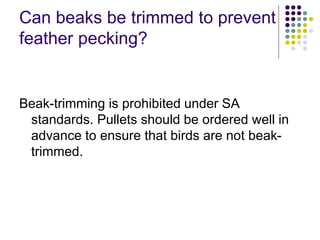 Can beaks be trimmed to prevent
feather pecking?
Beak-trimming is prohibited under SA
standards. Pullets should be ordered well in
advance to ensure that birds are not beak-
trimmed.
 