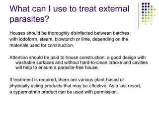 What can I use to treat external
parasites?
Houses should be thoroughly disinfected between batches
with iodoform, steam, blowtorch or lime, depending on the
materials used for construction.
Attention should be paid to house construction: a good design with
washable surfaces and without hard-to-clean cracks and cavities
will help to ensure a parasite-free house.
If treatment is required, there are various plant-based or
physically acting products that may be effective. As a last resort,
a cypermethrin product can be used with permission.
 