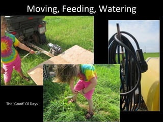 Moving, Feeding, Watering
The ‘Good’ Ol Days
 