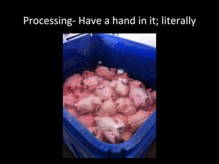 Processing- Have a hand in it; literally
 