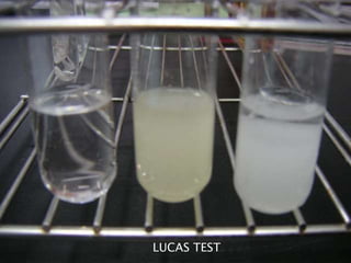 LUCAS TEST 
 
