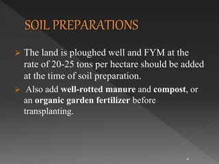 Fym Well Rotted Organic production of brinjal | PPTX