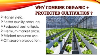 Higher yield.
Better quality produce.
Reduced pest attack.
Premium market price.
Efficient resource use.
Off season production .
Why Combine Organic +
Protected Cultivation ?
 
