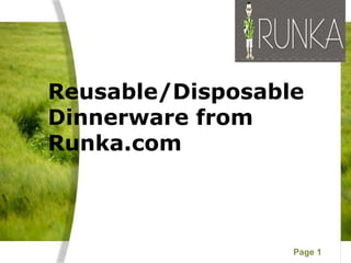 Reusable/Disposable  Dinnerware from Runka.com 