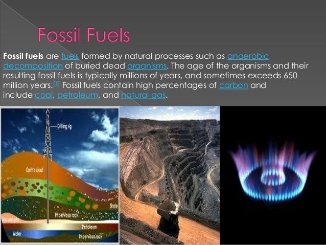 Organic Rocks And Fossil Fuels