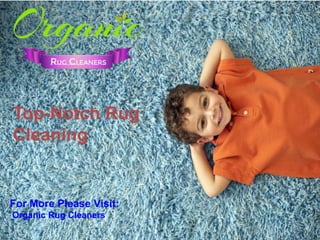 Top-Notch Rug
Cleaning
For More Please Visit:
Organic Rug Cleaners
 