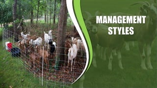Small Ruminants Types RAISING ORGANIC SMALL RUMINANTS AND BREEDING | PPTX