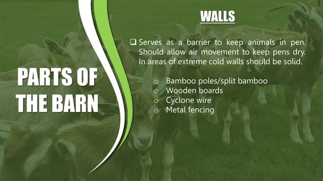 Sag Ruminants RAISING ORGANIC SMALL RUMINANTS AND BREEDING | PPTX | Dogs | Pets