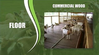 Sag Ruminants RAISING ORGANIC SMALL RUMINANTS AND BREEDING | PPTX