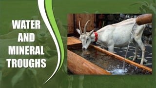 Sag Ruminants RAISING ORGANIC SMALL RUMINANTS AND BREEDING | PPTX
