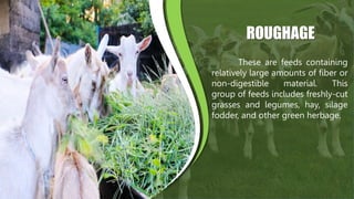 RAISING ORGANIC SMALL RUMINANTS AND BREEDING | PPTX