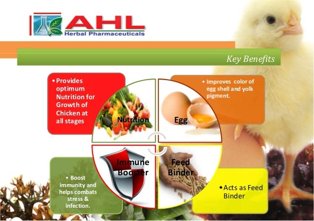 composition yolk of 2017 feed seaweed poultry Organic brochure