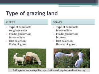Transitioning to organic sheep and goat production | PPTX