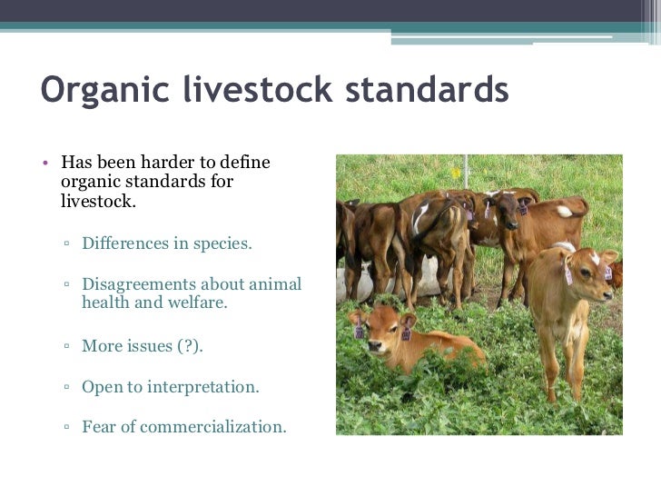 Transitioning to organic sheep and goat production