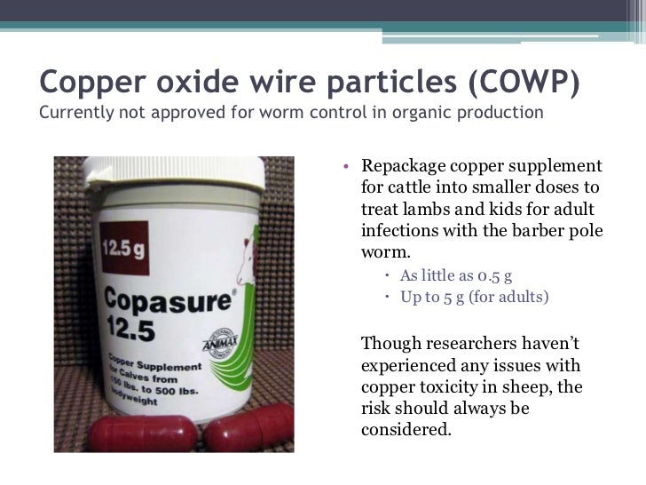 Transitioning to organic sheep and goat production