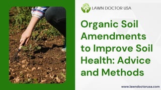 Organic Soil
Amendments
to Improve Soil
Health: Advice
and Methods
www.lawndoctorusa.com
 