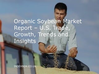 e-mail: info@indexbox.co.uk www.indexbox.co.uk
Organic Soybean Market
Report – U.S. Trade,
Growth, Trends and
Insights
INDEXBOX.CO.UK
 
