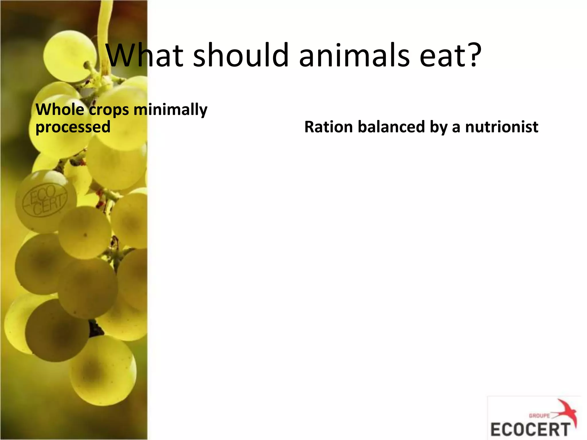 What should animals eat?
Whole crops minimally
processed Ration balanced by a nutrionist