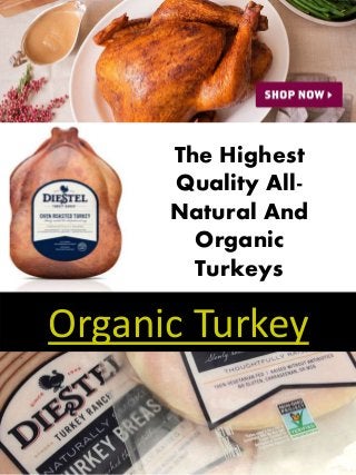 Organic Turkey
The Highest
Quality All-
Natural And
Organic
Turkeys
 